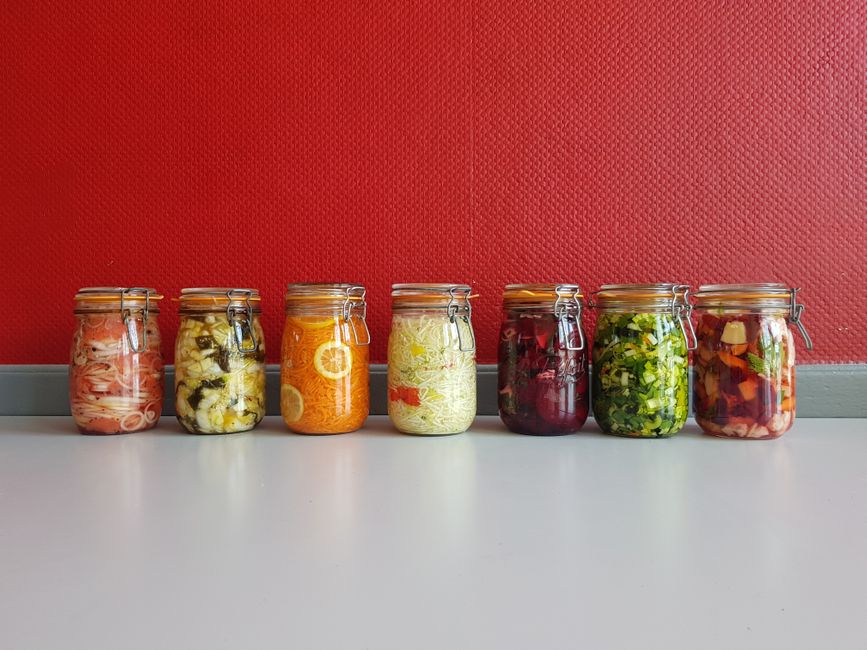 lacto-fermentation-facile-kefir-en-ville-et-logement-urbain-guide-pratique